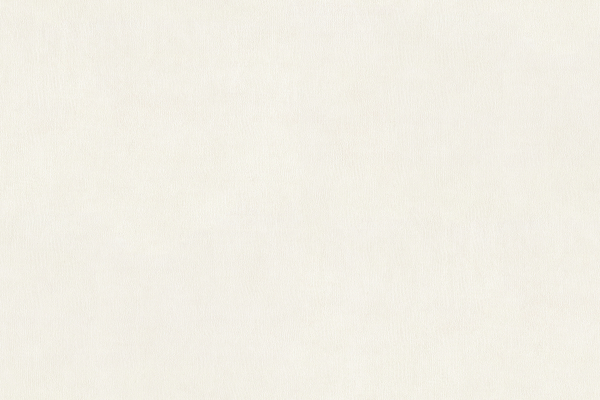 15023-3 Обои Alessandro Allori Argiano