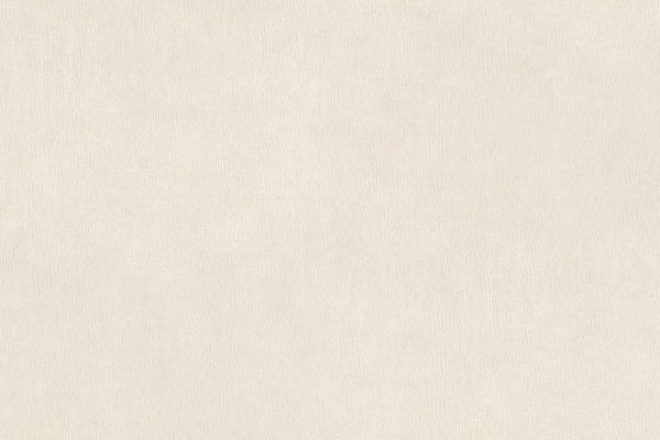 15023-4 Обои Alessandro Allori Argiano