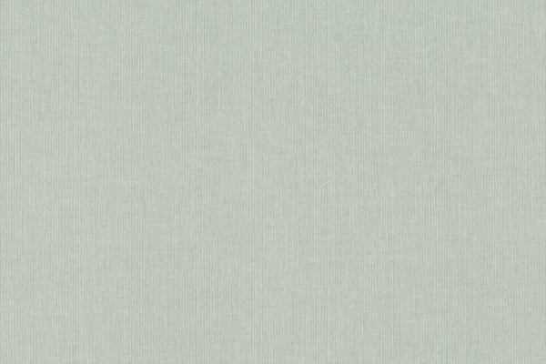 960792 Обои Rasch Maximum XVI