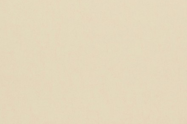 17123 Обои BN International Van Gogh