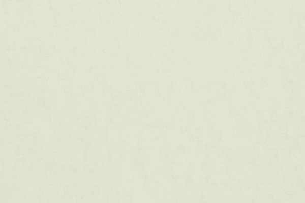 17129 Обои BN International Van Gogh 2