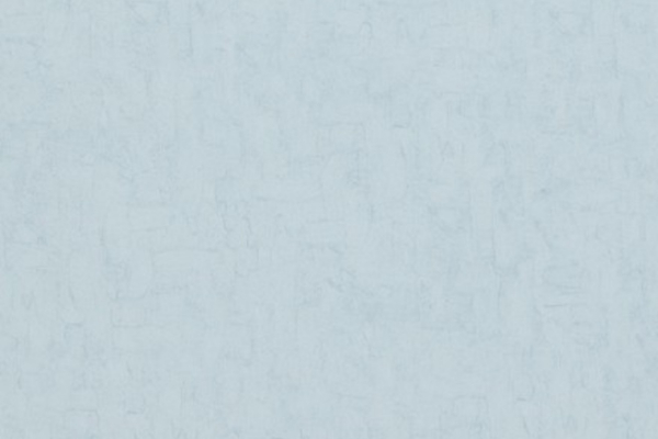 17114 Обои BN International Van Gogh