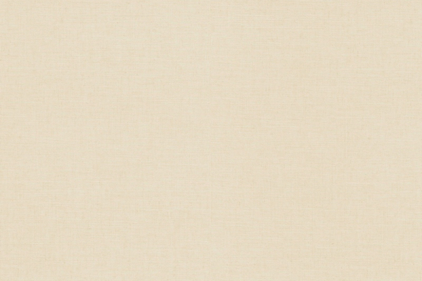 ER12143-14 Обои Erismann Casual Chic
