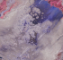 AF2073-COL1 Бесшовные фрески Affresco FLUID